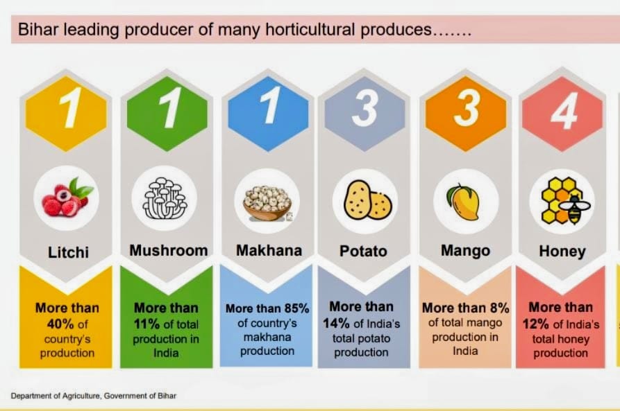 राष्ट्रीय बागवानी बोर्ड की पहल: बिहार के आम, लीची और मखाना क्लस्टर में निवेश से बढ़ेगी किसानों की आय
