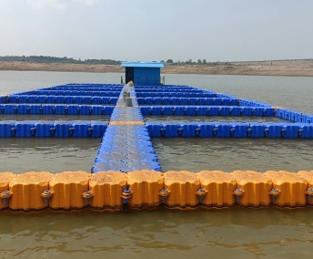 जल कृषि बीमा योजना: देशी मछली पालकों के लिए सुनहरा अवसर, मिलेगा 1.10 लाख रुपये तक का आर्थिक प्रोत्साहन