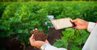 बिहार में मिट्टी जाँच प्रयोगशालाओं का व्यापक विस्तार: किसानों को मिलेगा वैज्ञानिक खेती का लाभ