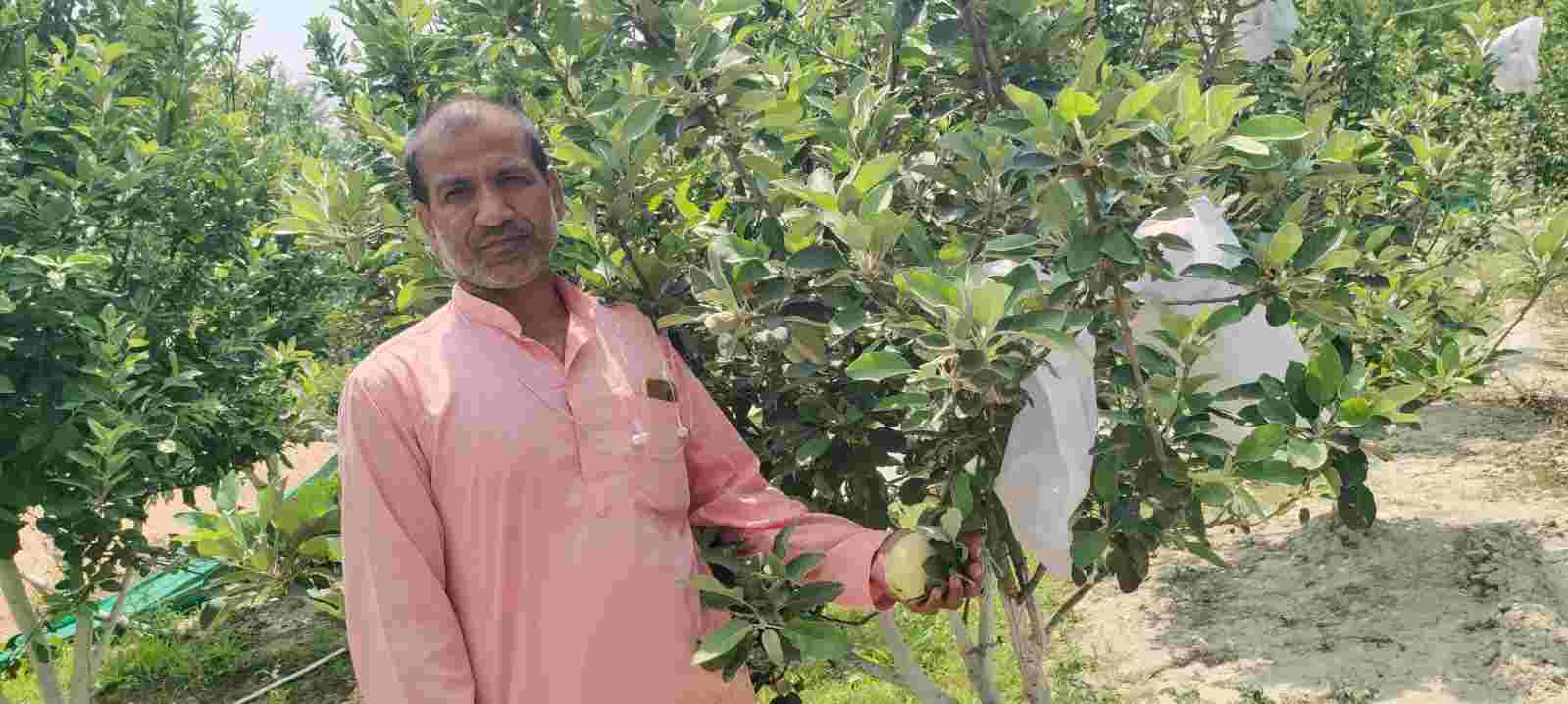 सफलता की कहानी: राज किशोर कुशवाहा का उच्च मुनाफे के नया मॉडल, सरकार ने शुरू किया पायलट प्रोजेक्ट